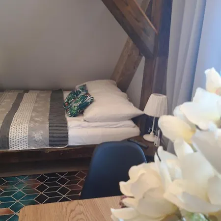 Gusto 公寓 奥斯特罗达