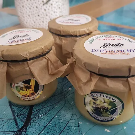 Gusto 奥斯特罗达