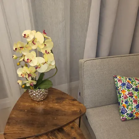 Gusto 奥斯特罗达