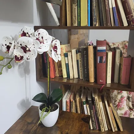 Gusto 公寓 奥斯特罗达