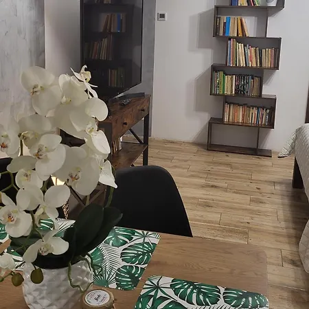 Gusto 奥斯特罗达