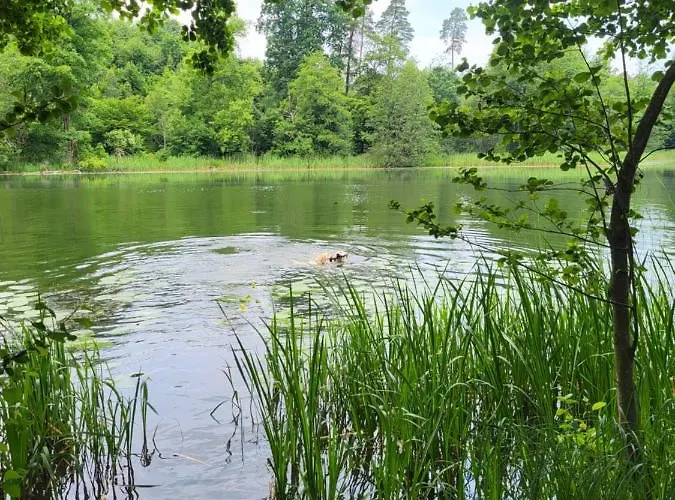 Gusto Apartmán Ostróda