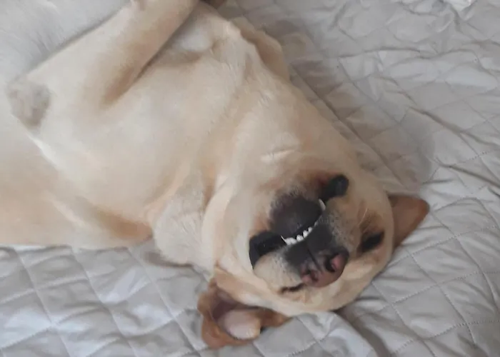 Gusto Апартаменты