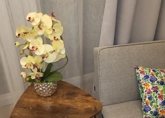 Gusto Оструда